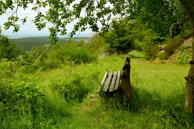 斯皮纳塞：圣西罗首秀是所有孩子的梦想；我的特点更像图拉姆