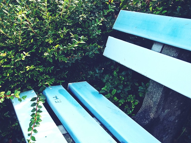 界冠军几乎 界冠军几乎