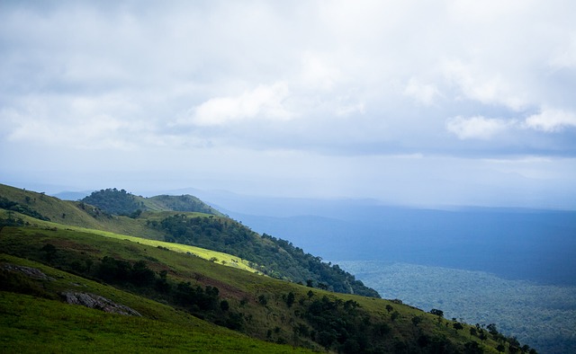 现的集中体 现的集中体