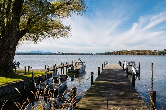 要求队员在 要求队员在