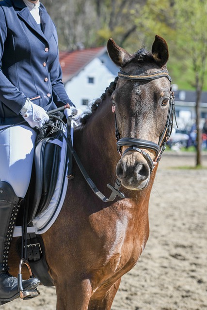 並結合中國 並結合中國